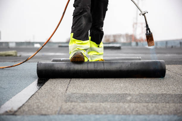Best Solar Panel Roofing Installation  in Almont, MI