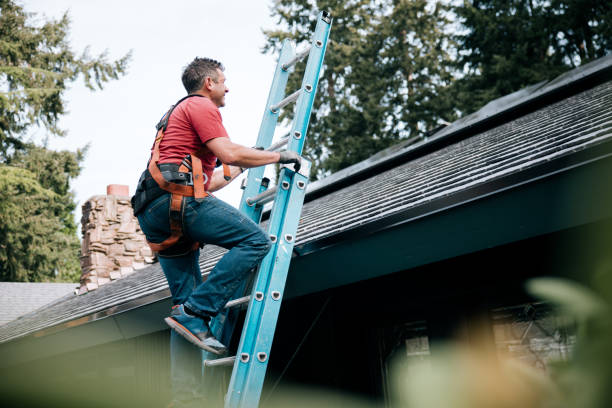 Best Roof Ventilation Installation  in Almont, MI